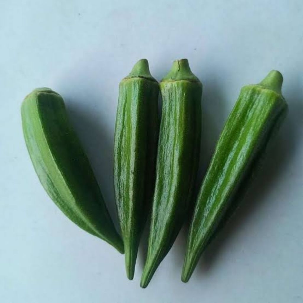 okra hijau