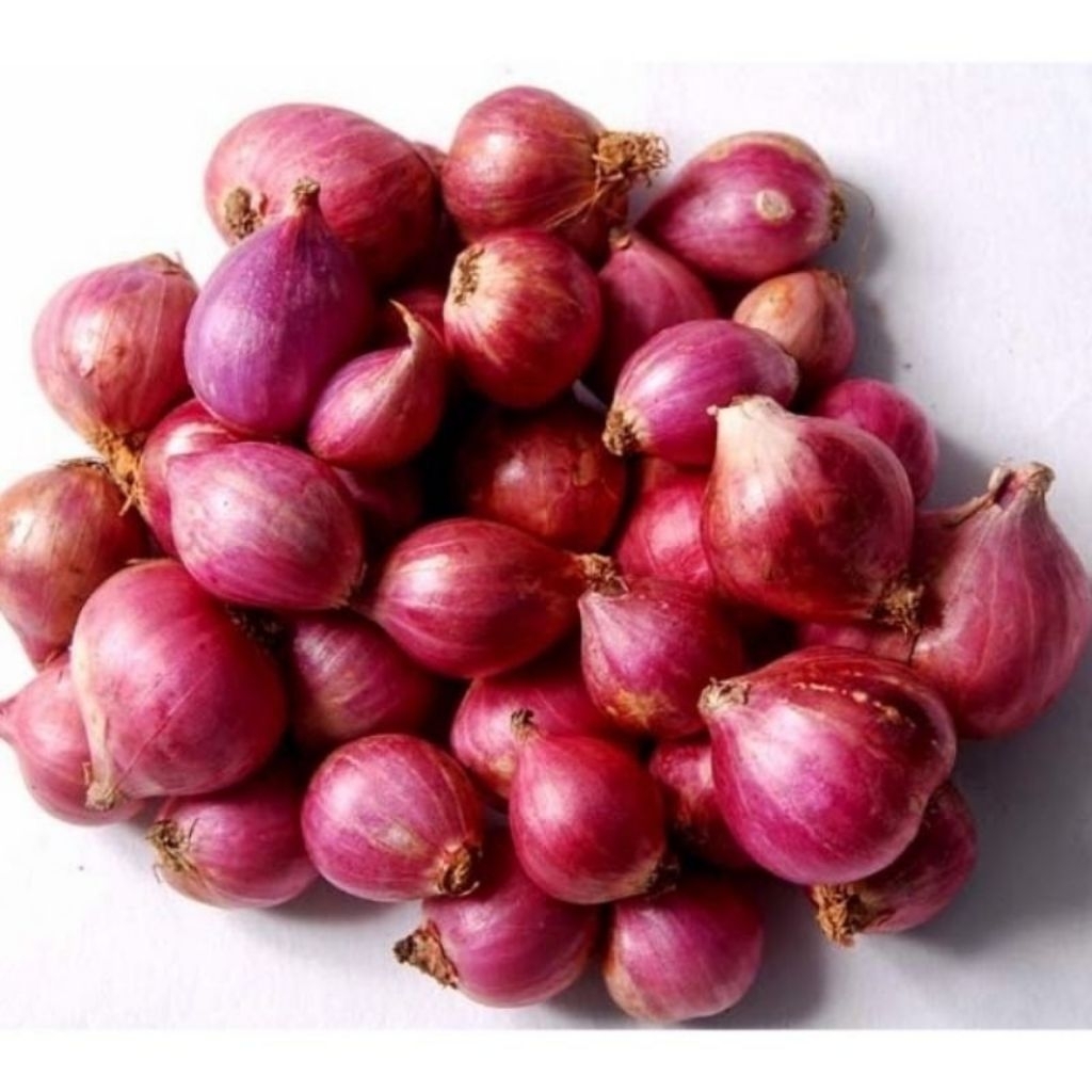 BAWANG MERAH BESAR  BIMA 1 Kg