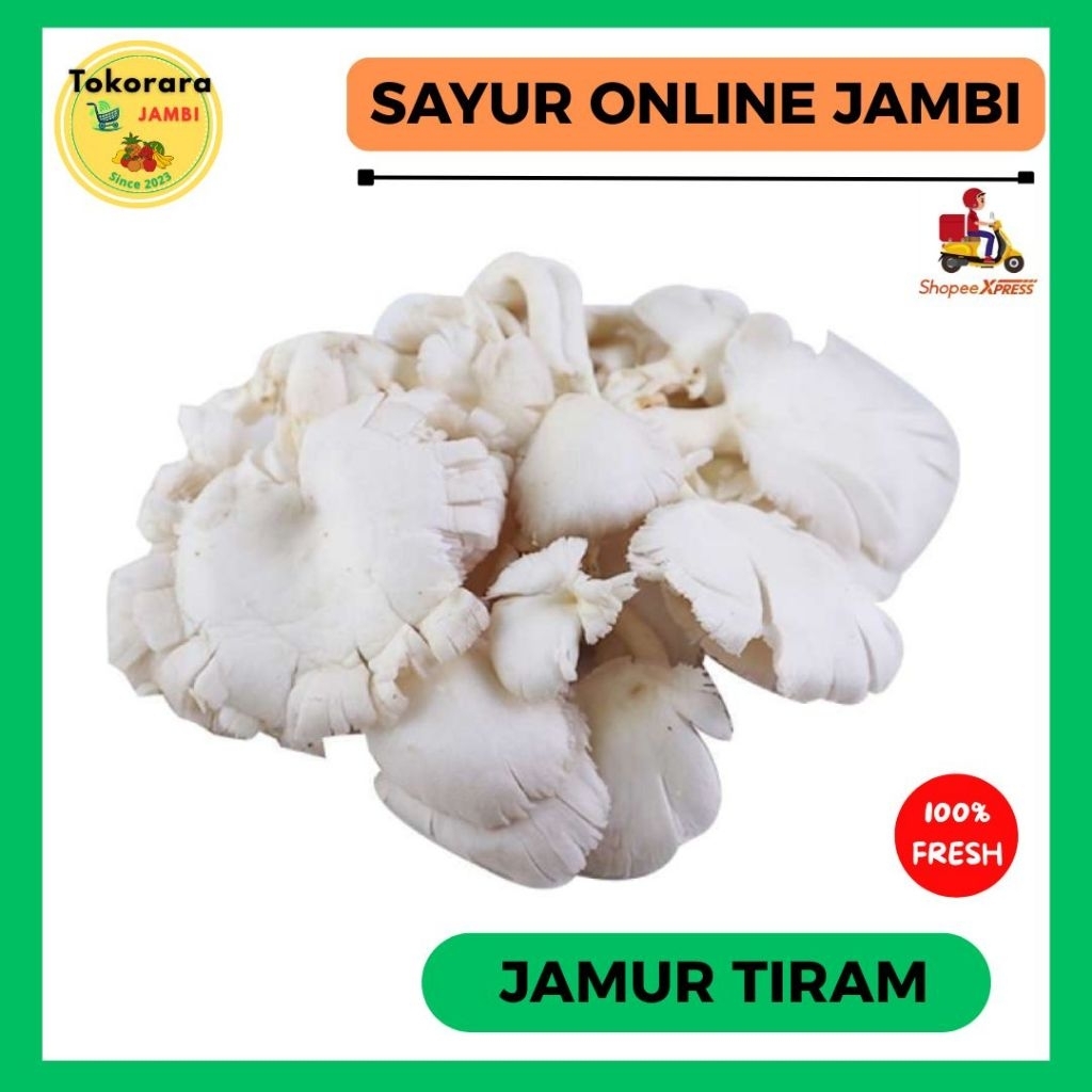 KIRIM INSTAN Jamur Tiram Fresh 500gr -tokorara.jambi