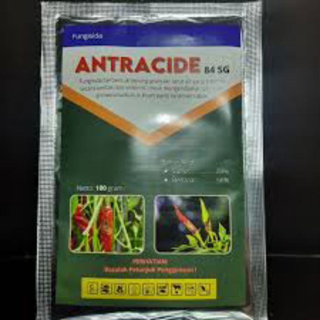 Fungisida Antracide 84 SG 100 gram