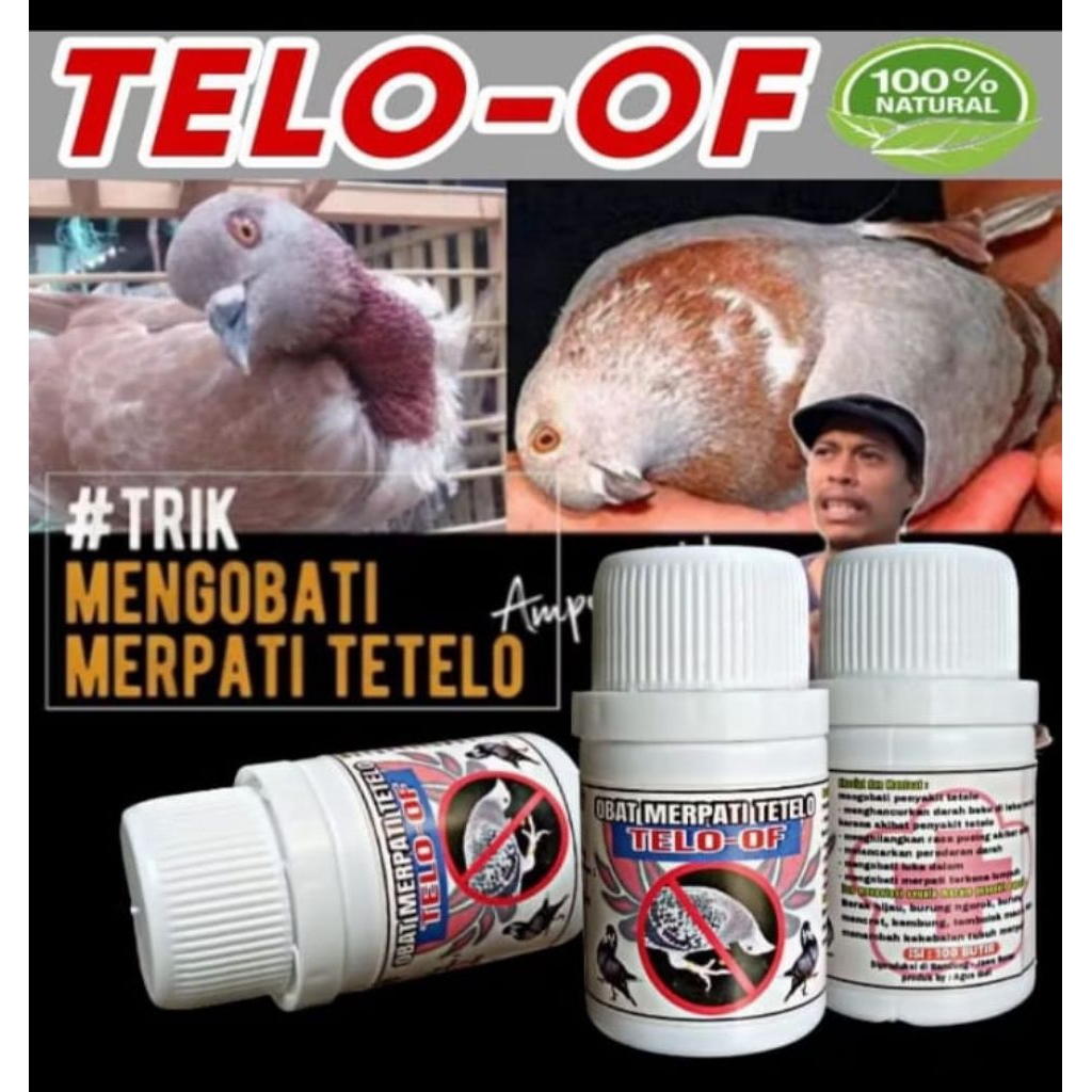 TERLARIS TETELO OF OBAT MERPATI TETELO OF ISI 100 BUTIR paling ampuh sembuh dalam 1 Minggu nutribird