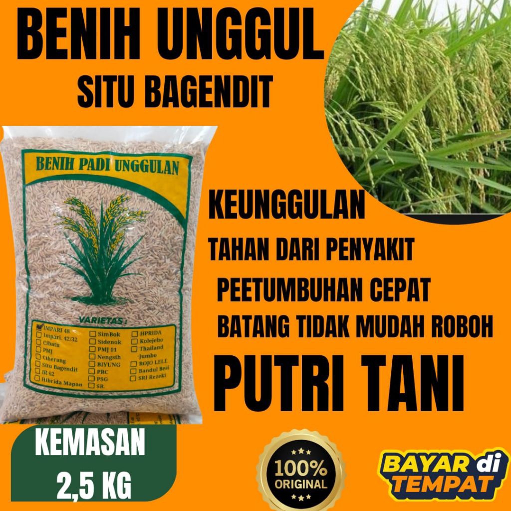 benih padi unggul situ bagendit kemasan 2,5kg