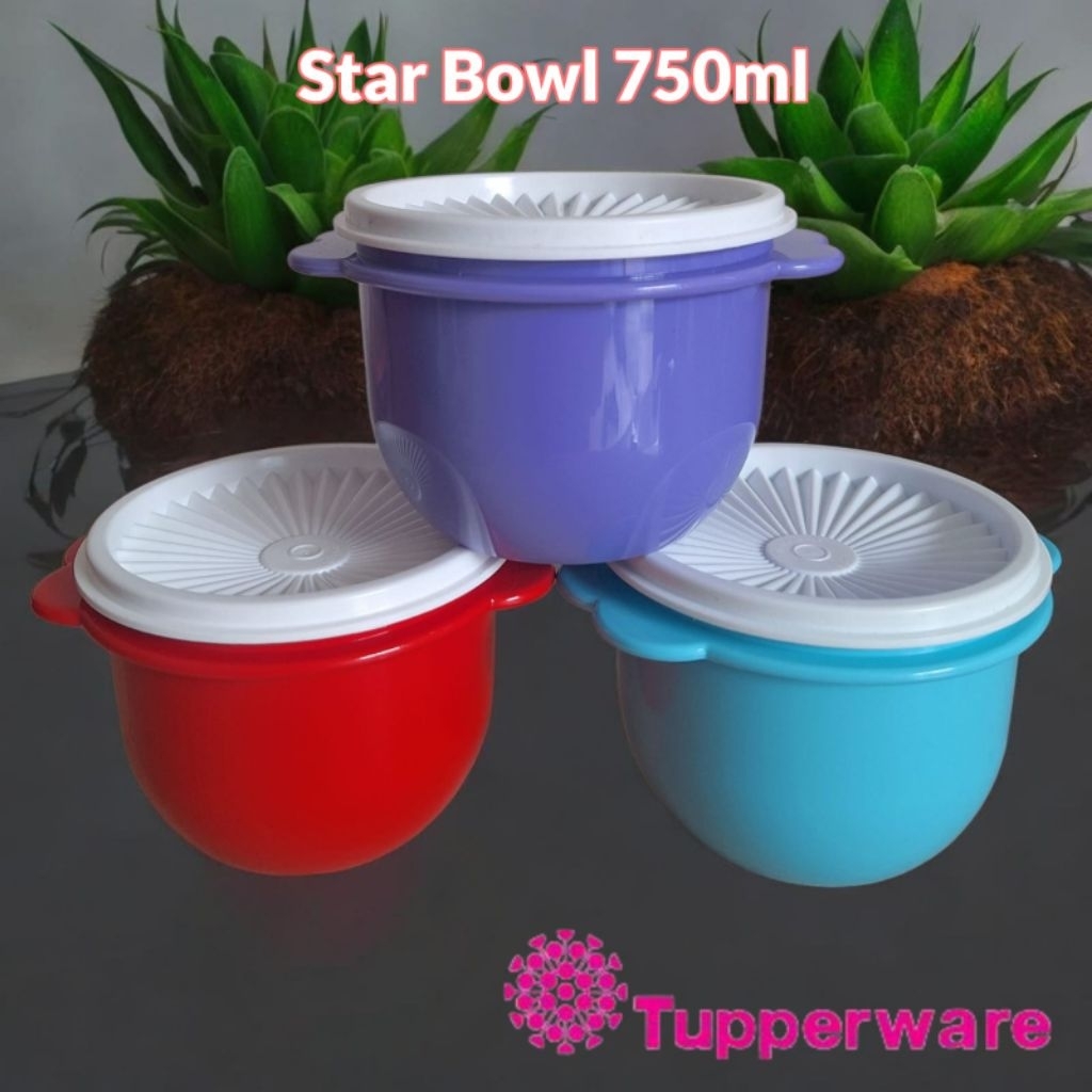 Star Bowl Tupperware