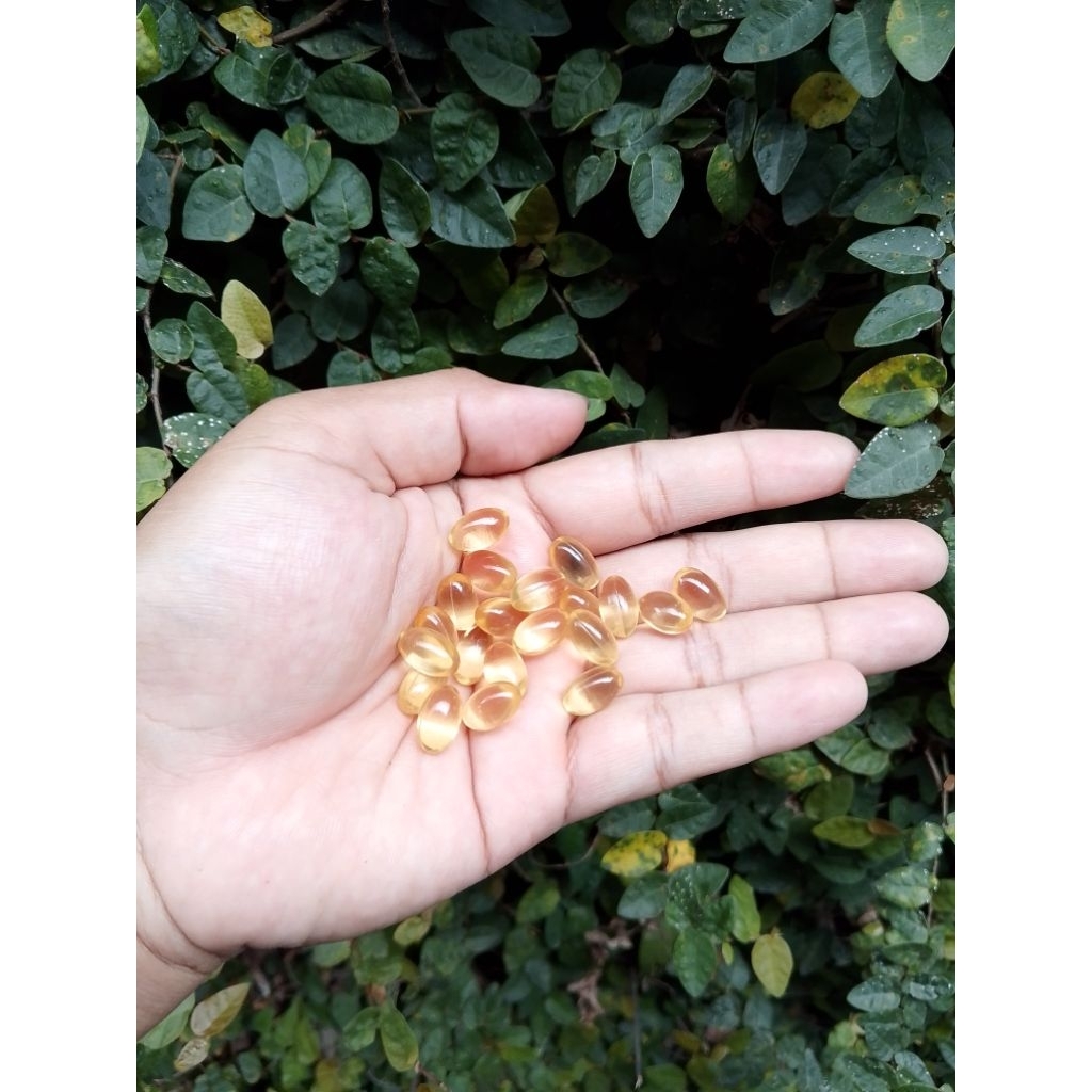 Minyak Ikan Untuk Hewan , Ayam , Kucing , Anjing Dll