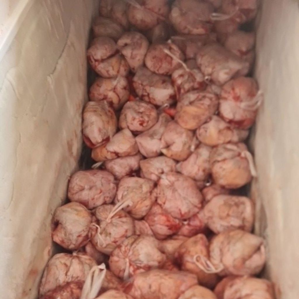 TETELAN DAGING SAPI LOKAL