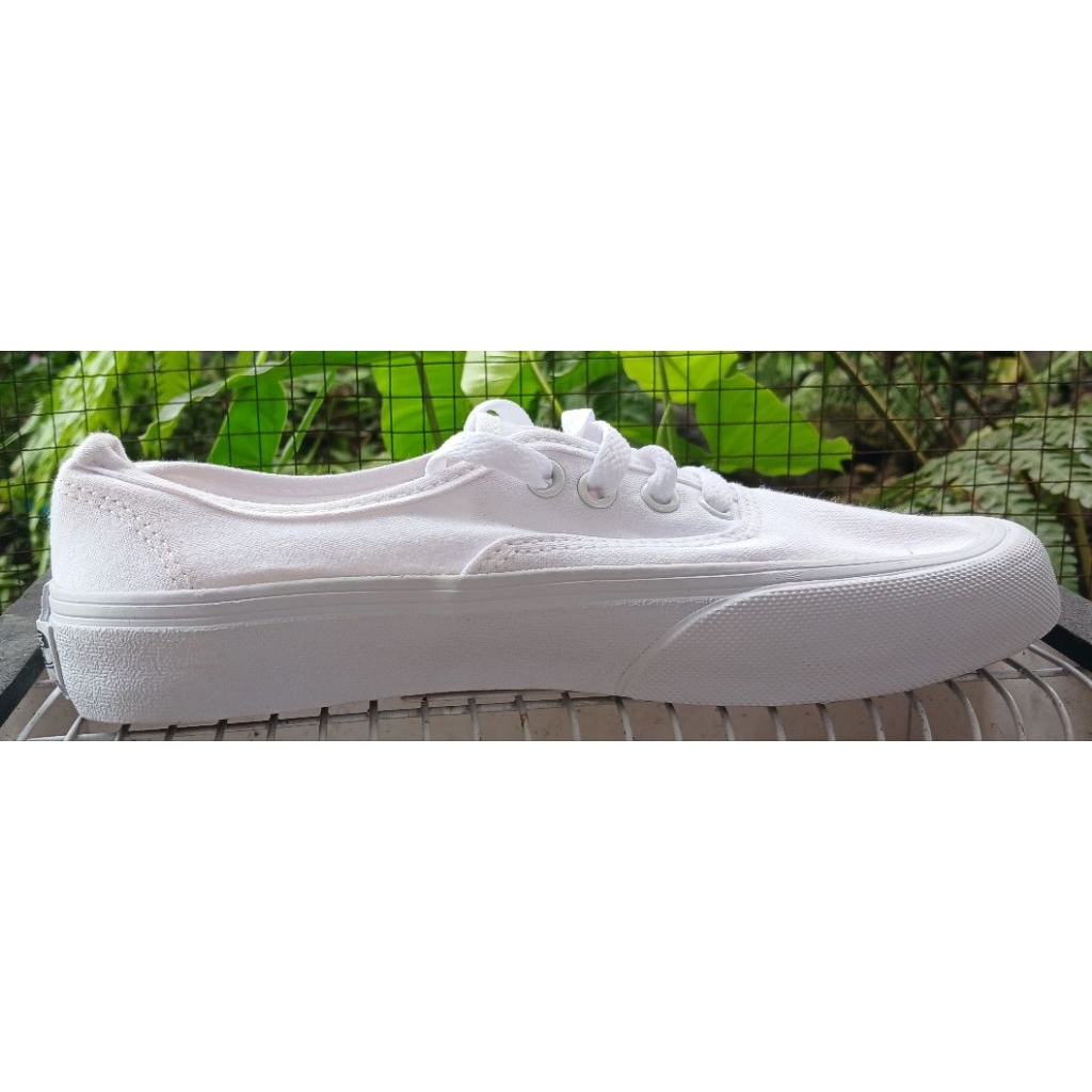 vans authentic