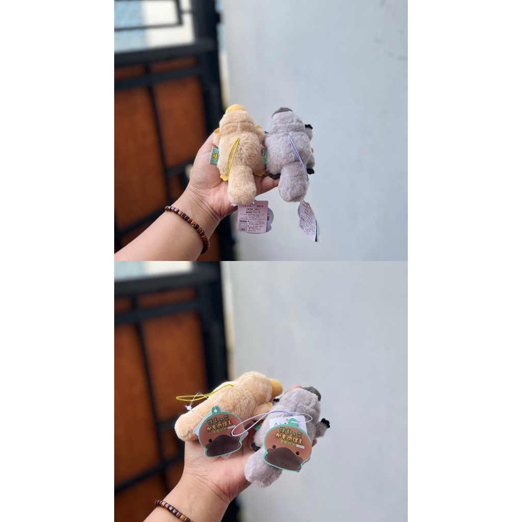 Ganci Platypus Amuse,Ganci Amuse,Ganci Lucu