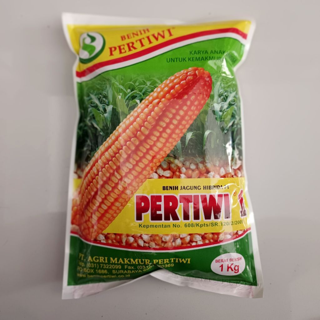 Benih jagung pertiwi 1 1kg benih jagung Hibrida