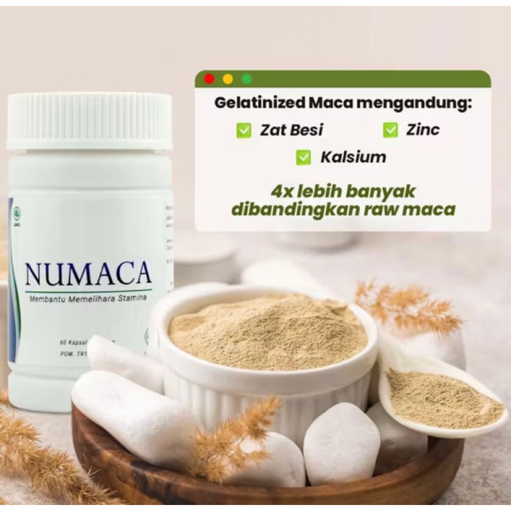 numaca asli original 100% hwi isi 60 kapsul / numaca ginseng hwi bpom menstabilkan hormon promil sta