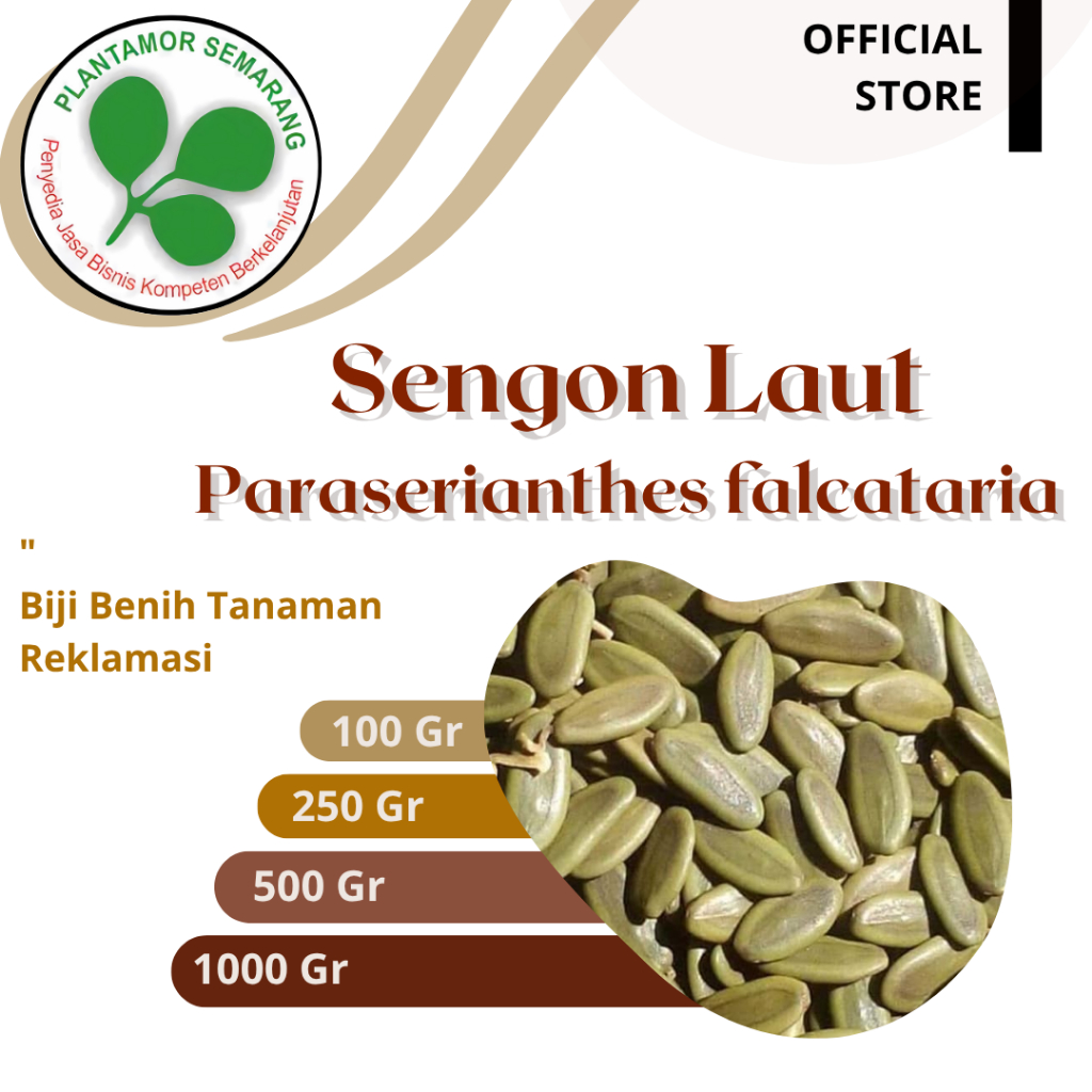 Biji Sengon Laut (Paraserianthes falcataria)/ Kayu Keras Reklamasi