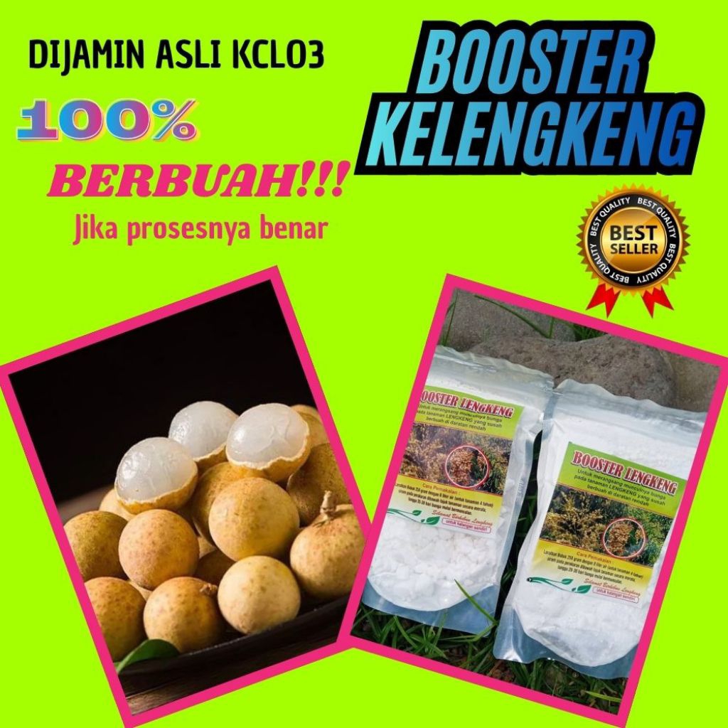 Pupuk Kelengkeng Kclo3, Pupuk Kelengkeng Merah