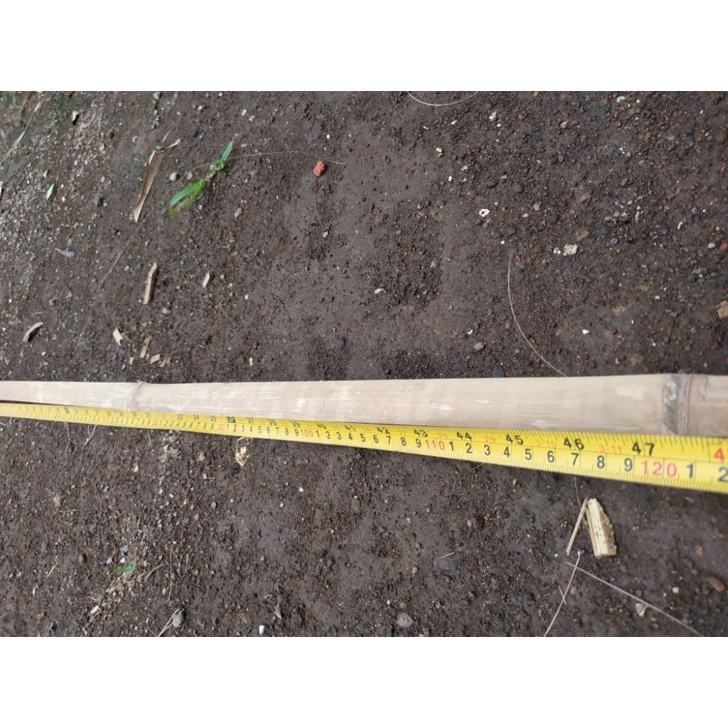 Bambu ruas untuk layangan panjang 120cm