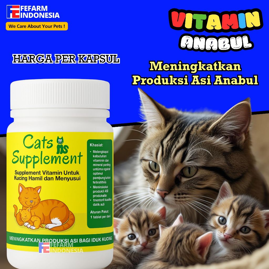 Supplement Vitamin Untuk Kucing Hamil dan Menyusui FEFARM