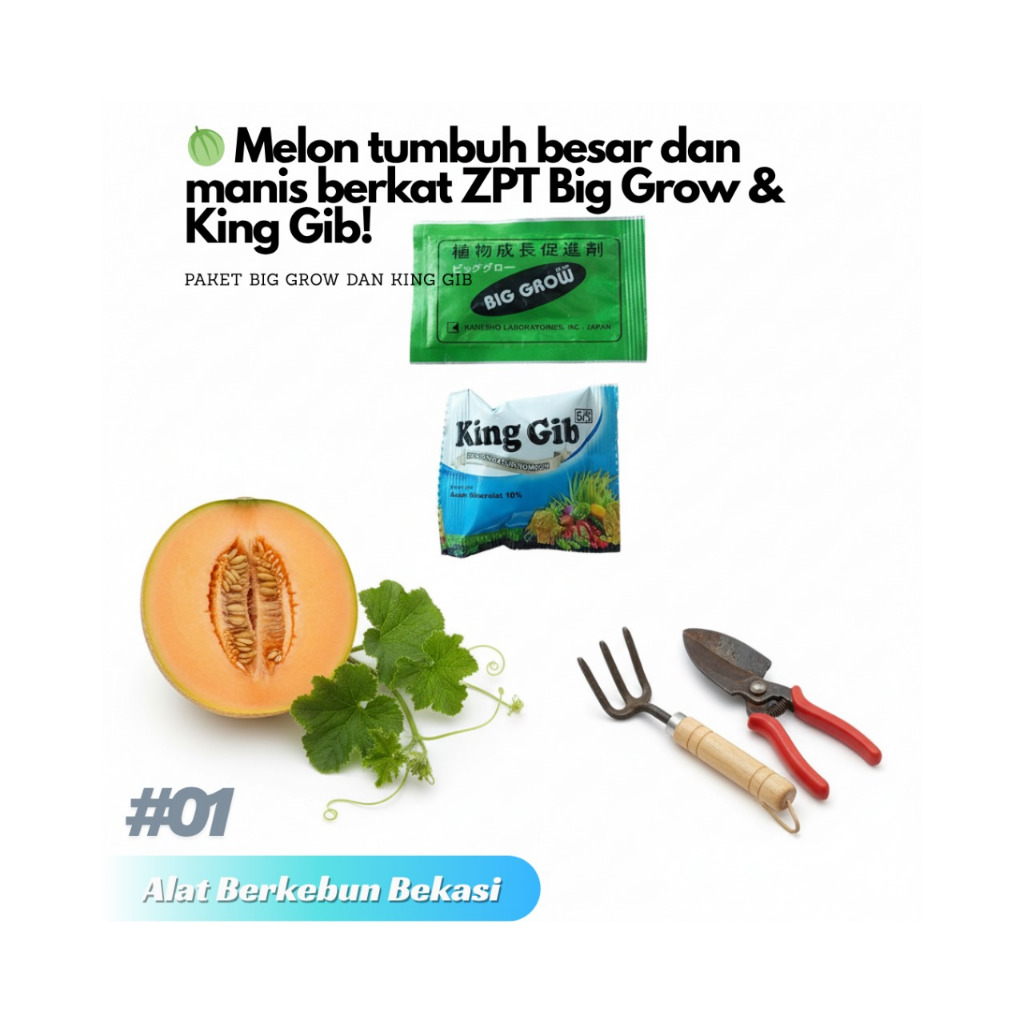Paket Pembesar Buah ZPT King Gib dan GA3 BigGrow Forte