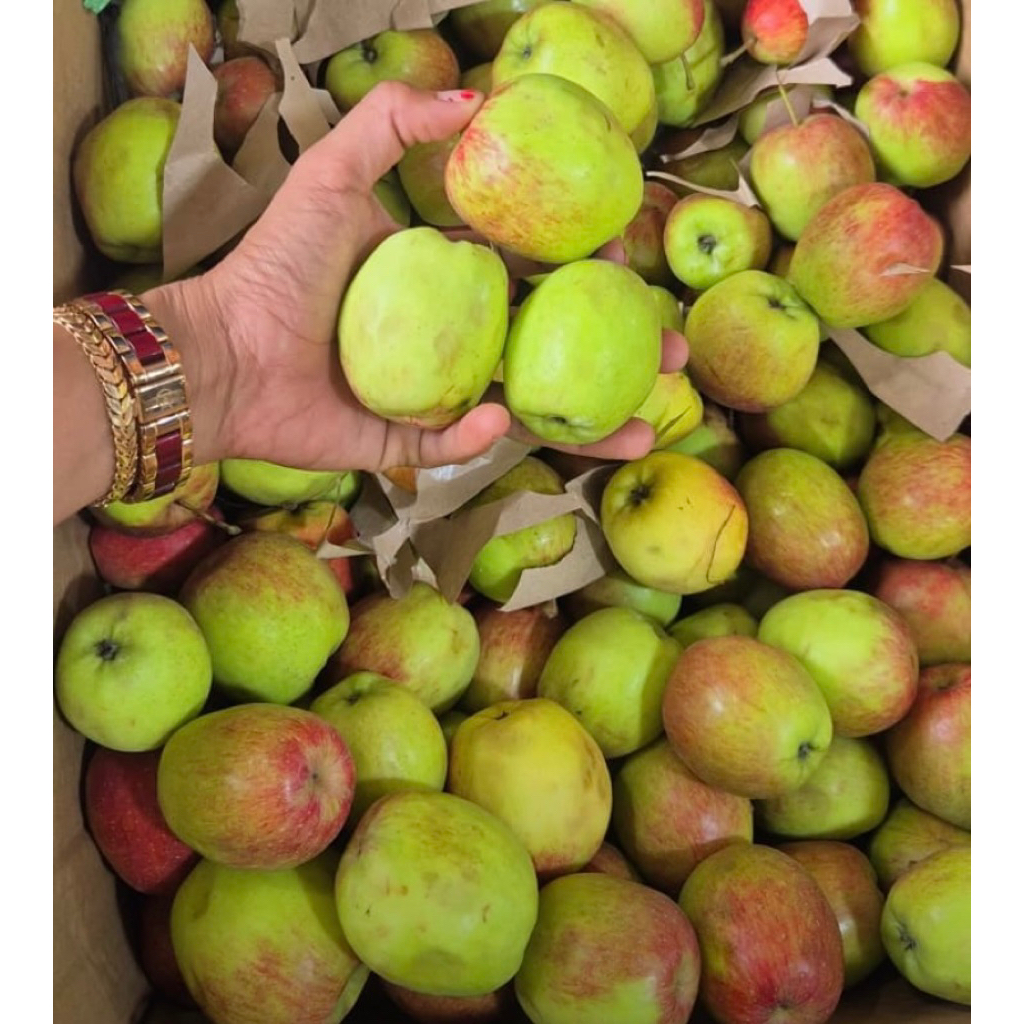 APEL ANNA!! kemasan 1kg