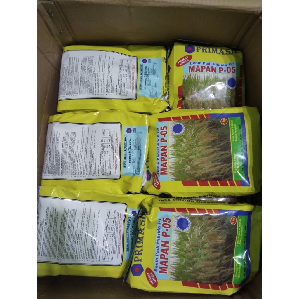 Bibit padi mapan P 05 original pabrik