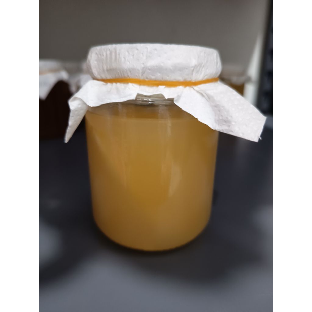 starter cuka apel / biang cuka apel asli