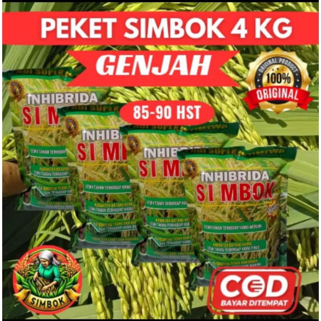 (4KG GENJAH) BENIH PADI SIMBOK UMUR PENDEK 85-90HST