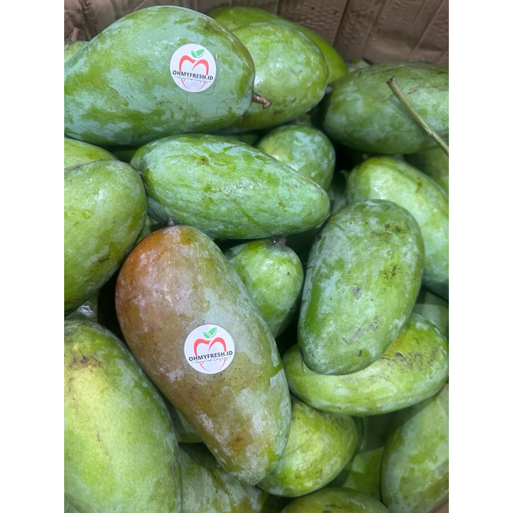 mangga kiyojay 1kg mangga kiyojay mentah untuk rujak