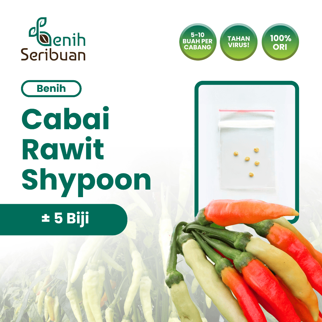 Benih Seribuan - 5 Benih Cabe Rawit Shypoon Hibrida