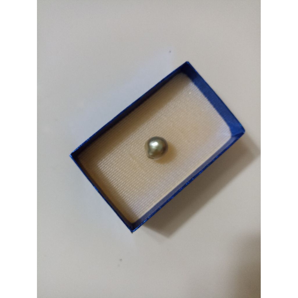 Mutiara Air Laut Asli Kepulauan Maluku