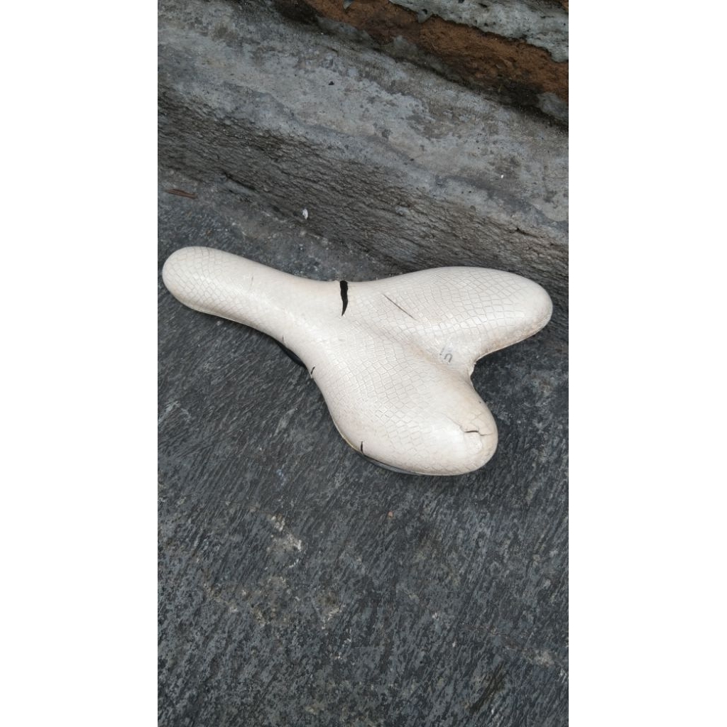 sadel selle royal Italy