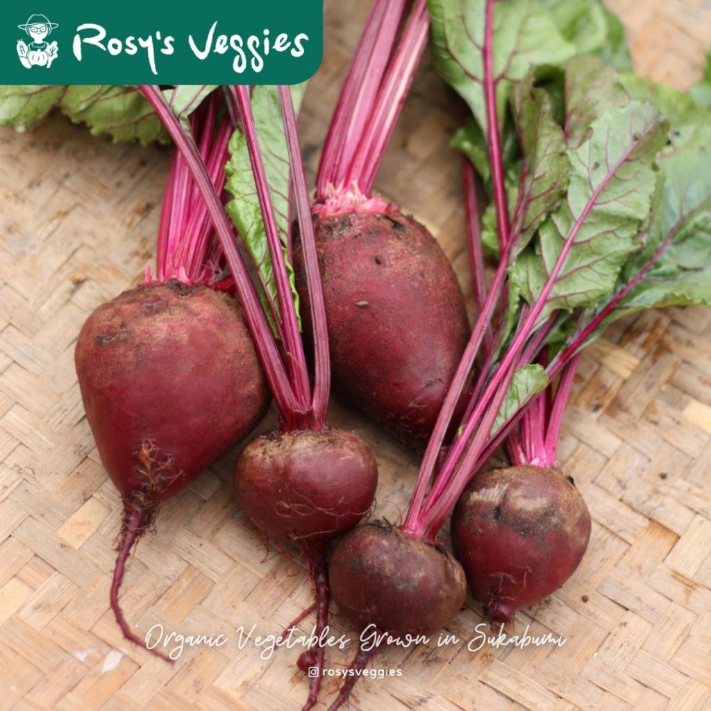Buah Beet Merah (Beet Root) Organik | 500 gram