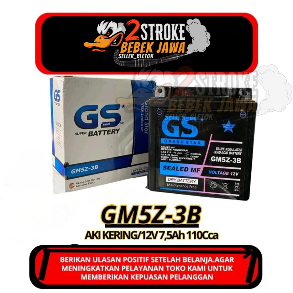Aki Kering Motor Yamaha F1z R, Jupiter Z, Vega R, Vega ZR, Mio Sporty, Smash | MERK GS | MODEL GM5Z-