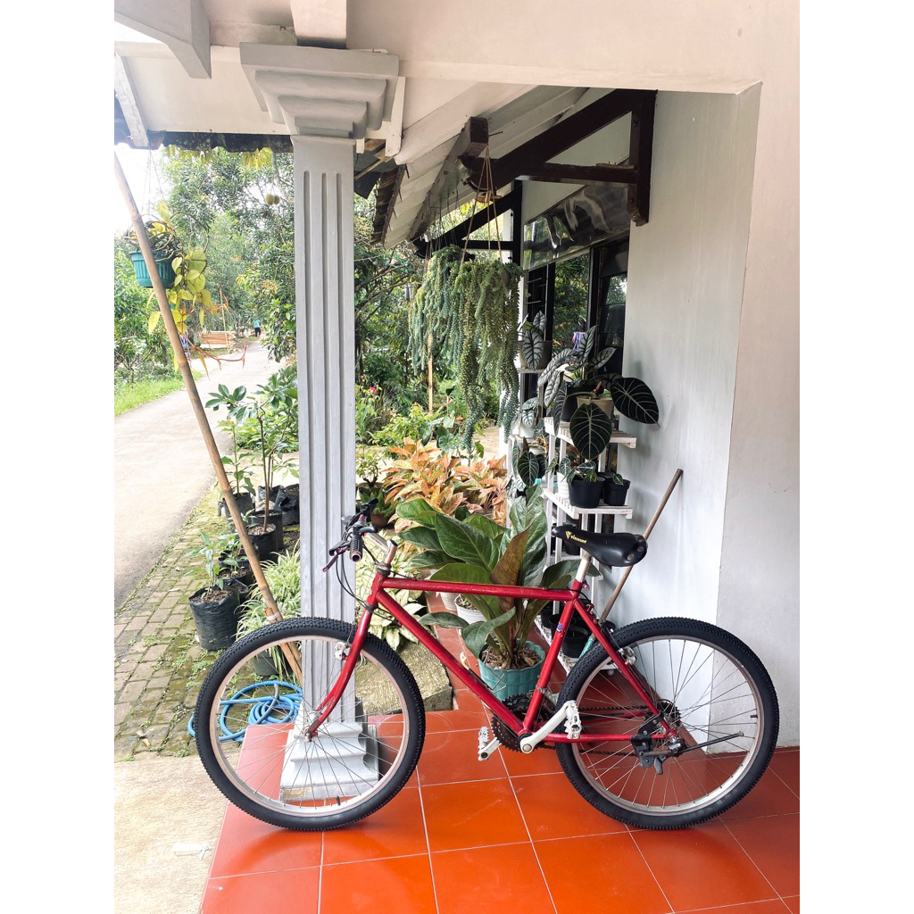 RALEIGH tangent altimetric 1991 usa