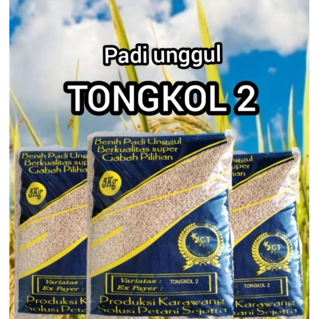 Benih padi (T2) TONGKOL 2 kemasan 5kg