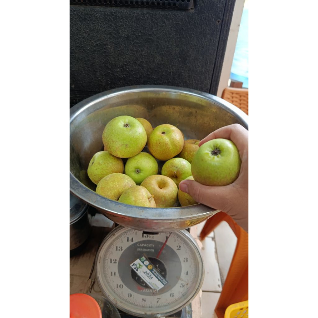 Apel Manalagi sedang 1kg
