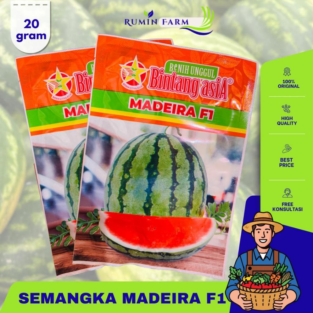 Benih Semangka Madeira F1 Cap Bintang Asia 20gram
