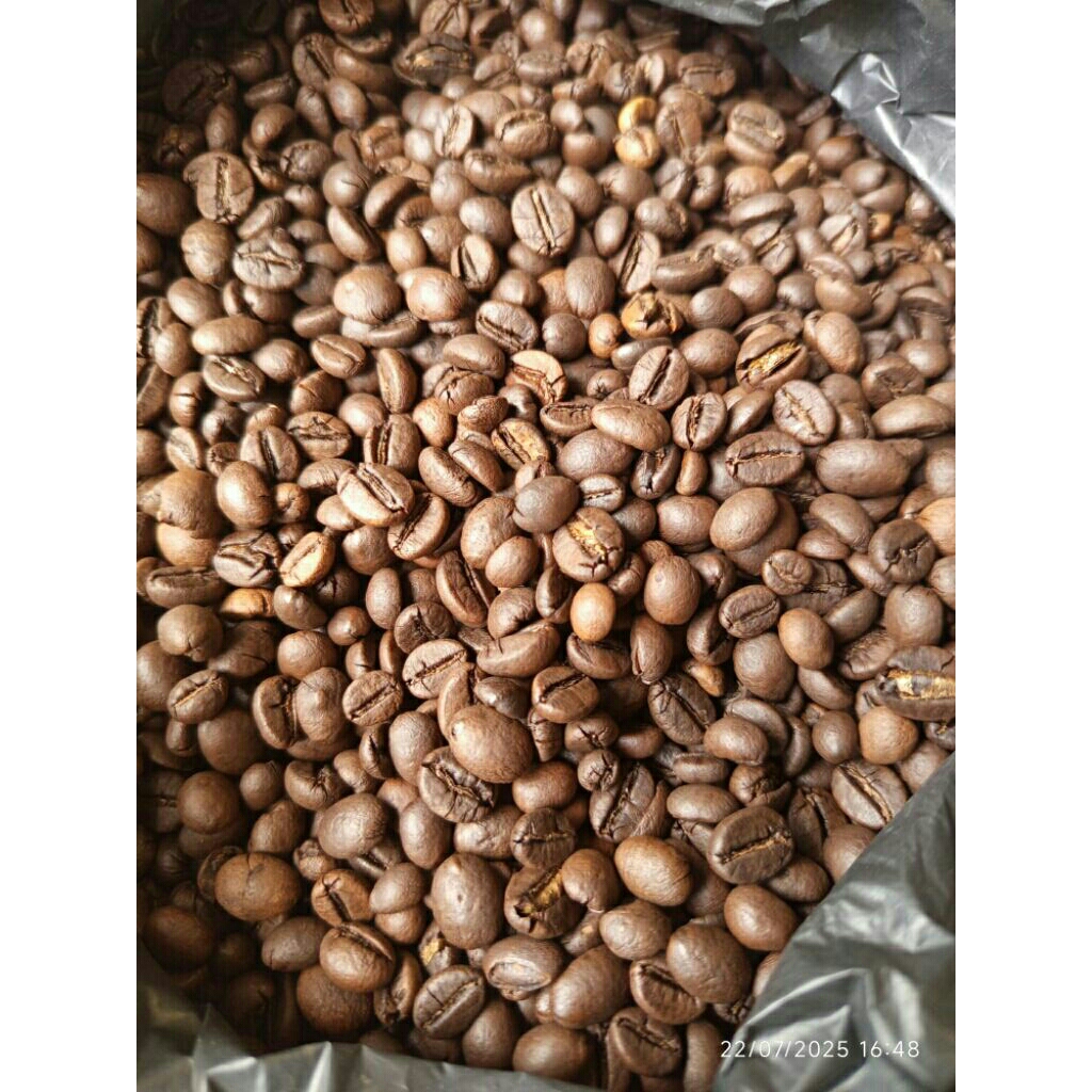 Biji Kopi robusta roasted 100% biji kopi robusta