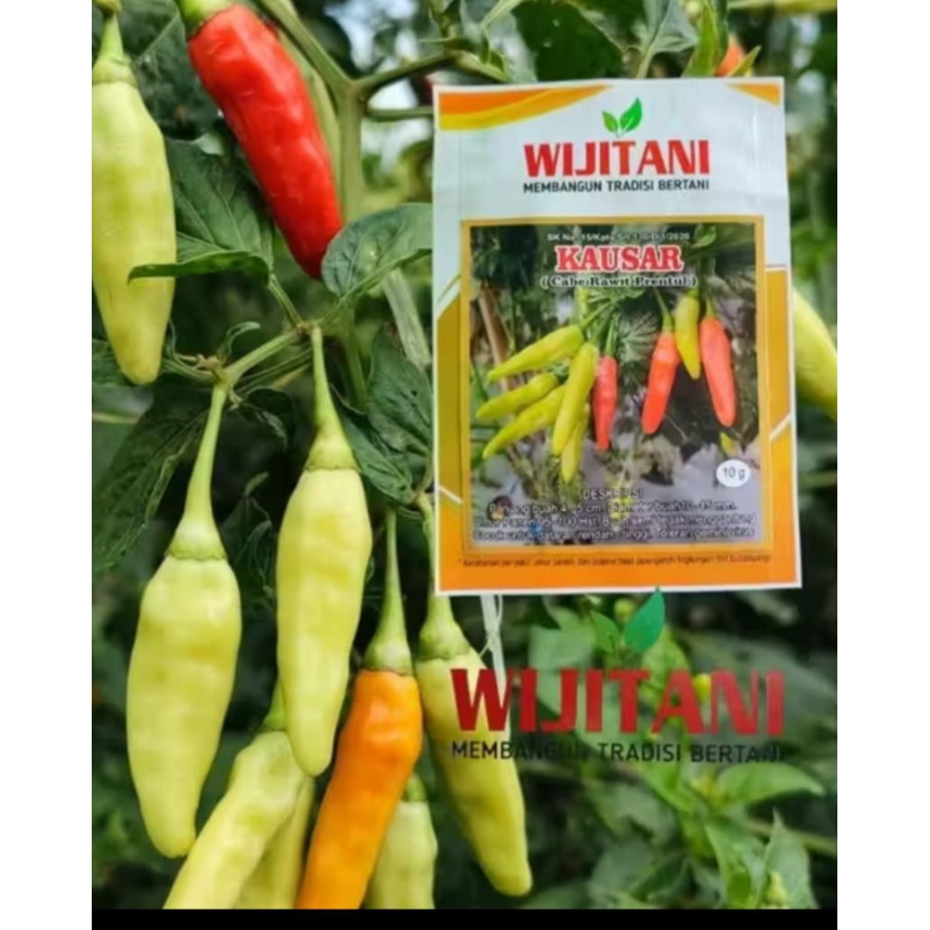 benih kausar 10gr by wijitani