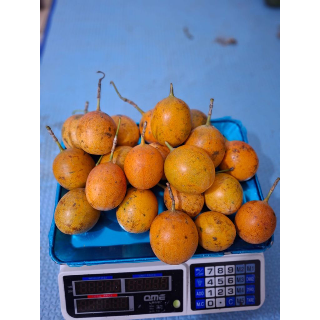 Markisa konyal manis matang dan segar 1kg