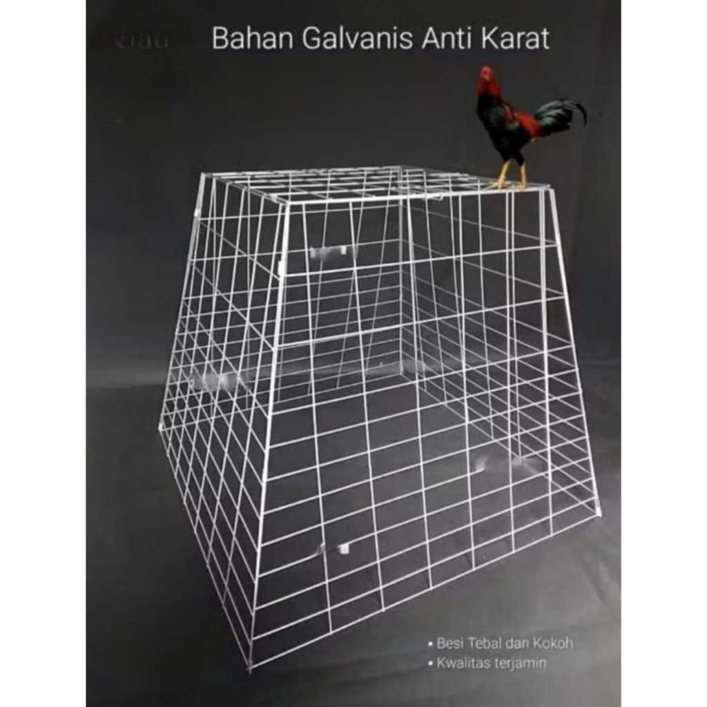 Kandang Ayam Bangkok Galvanis Lipat | Kurungan Ayam Jago Aduan Stainless Bongkar Pasang Sederhana
