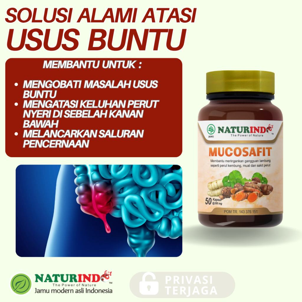 Herbal Bantu Atasi Usus Buntu Radang Ampuh Infeksi Sakit Usus Buntu Tanpa Operasi