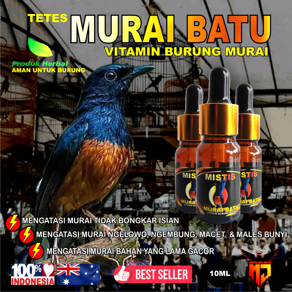 Vit Mistis Tetes Murai Batu | Vitamin Murai Batu Juara | Penggacor Burung Murai | Murai Batu Lomba