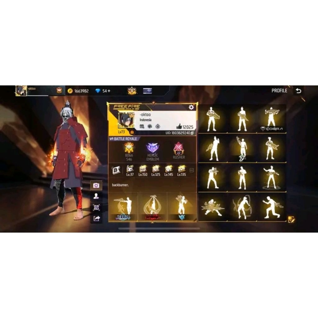 Akun Free Firee Sultan