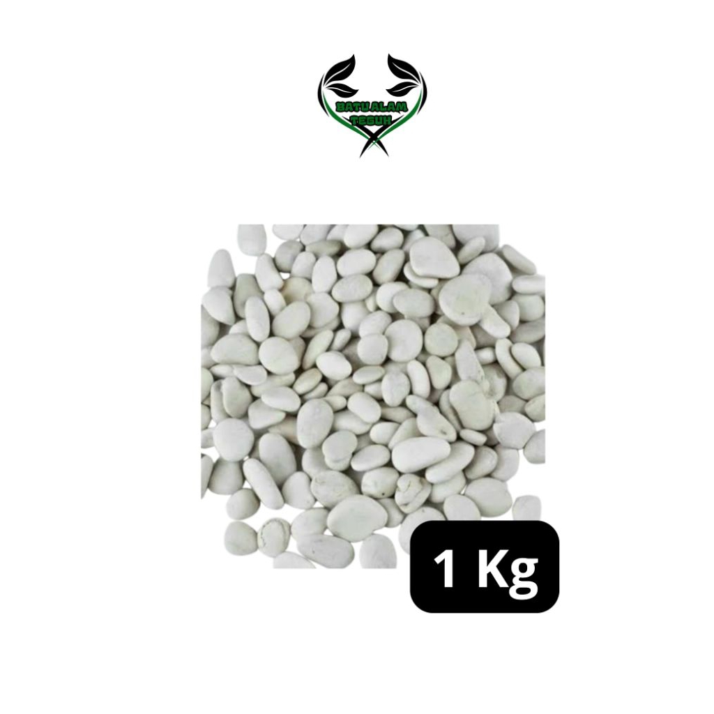 batu koral putih kupang uk KECIL 1kg