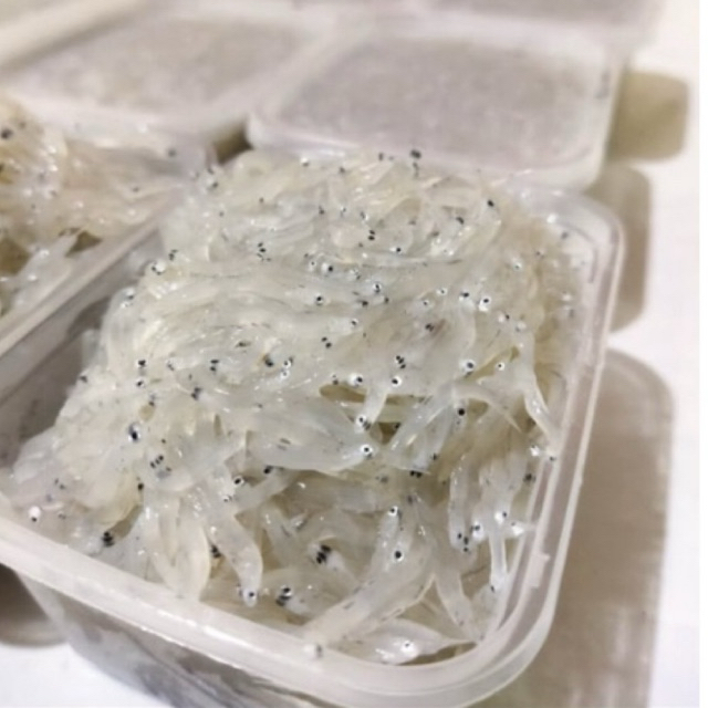 READY IKAN TERI NASI BASAH 250gr/IKAN TERI NASI SEGAR/ IKAN TERI NASI MPASI/IKAN TERI NASI BASAH FRE