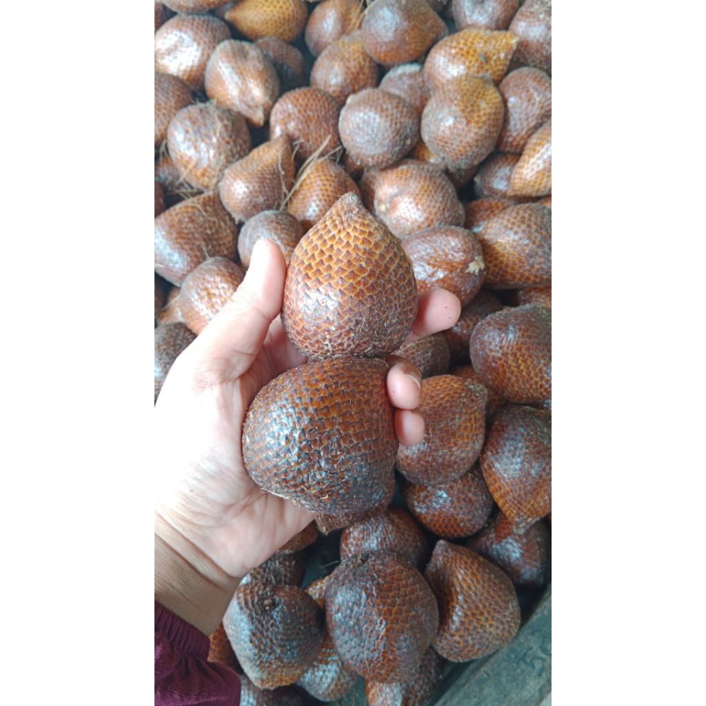 Salak pondoh 1kg