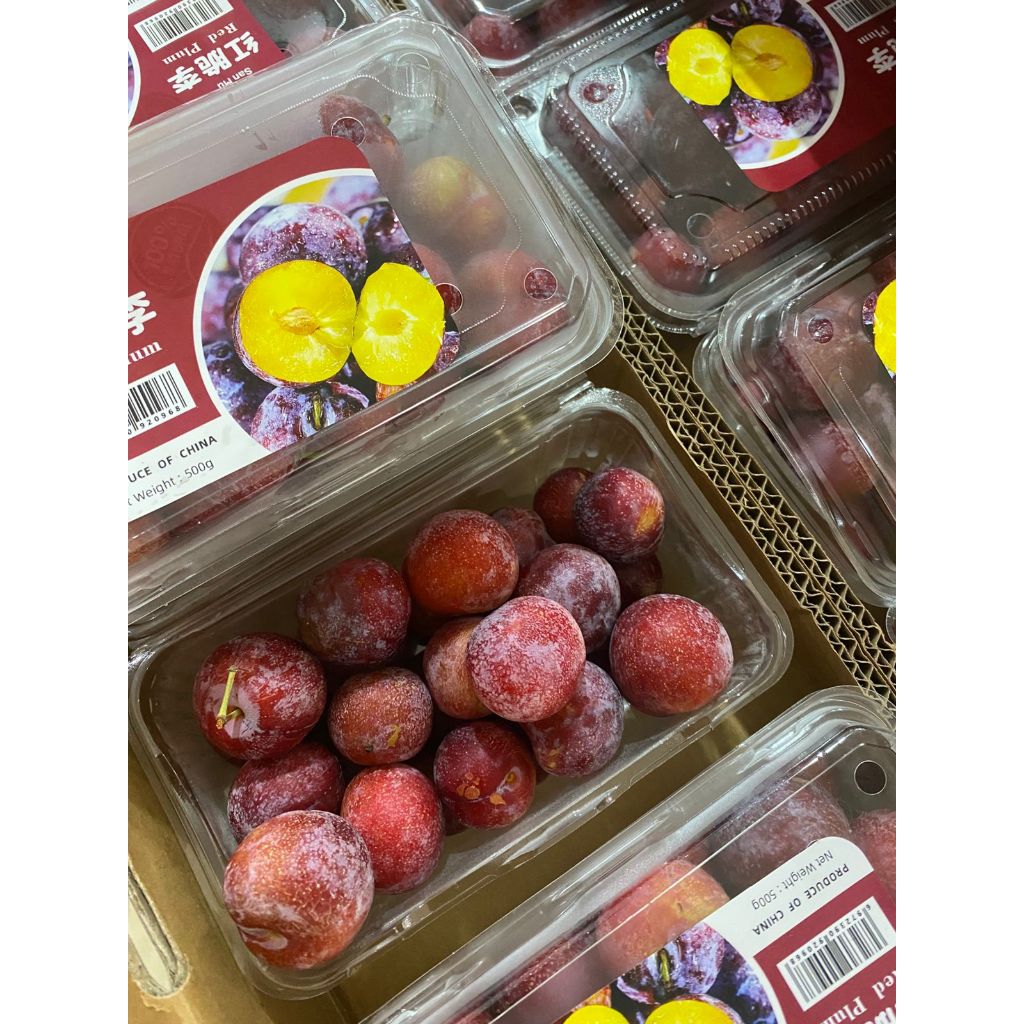 PLUM. PLUM MERAH. ENAK. FRESH. BUAH PLUM. MELANCARKAN PENCERNAAN.