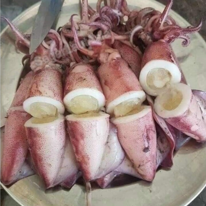 Cumi 1Kg Cumi Segar Cumi Basah Cumi Telur Segar Cumi Telor Segar Seafood Cumi Cumi Segar 1Kg