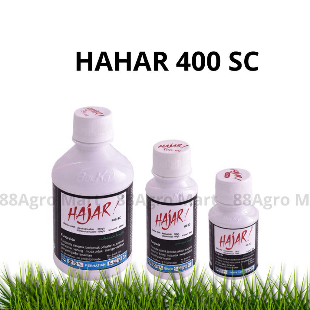 HAJAR 400 SC – Fungisida Sistemik | Cegah Busuk Daun & Antraknosa