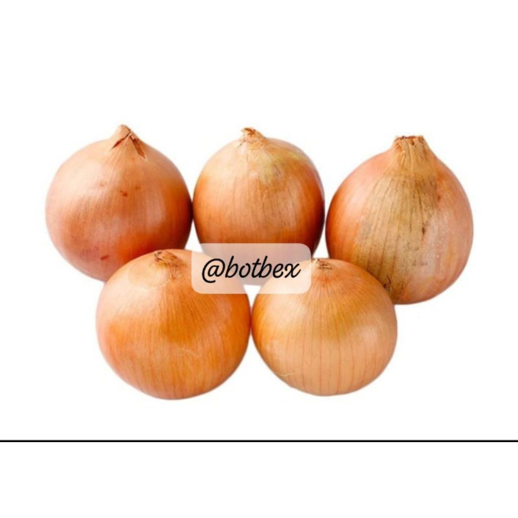 Bombay | Bawang Bombay | Bombay tidak dikupas 500 gram