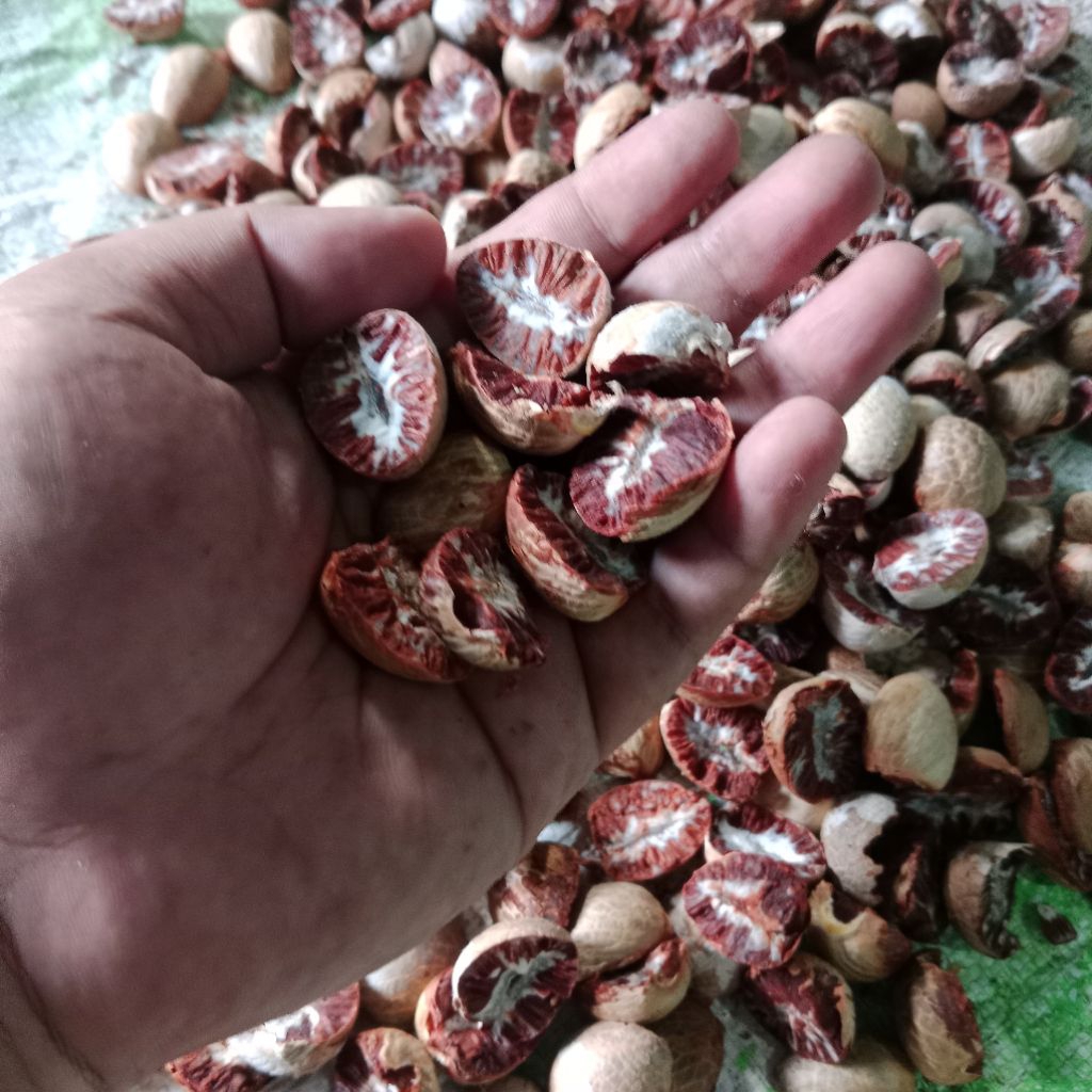 Jambe Muda kering - Pinang Muda Kering kualitas Ekspor