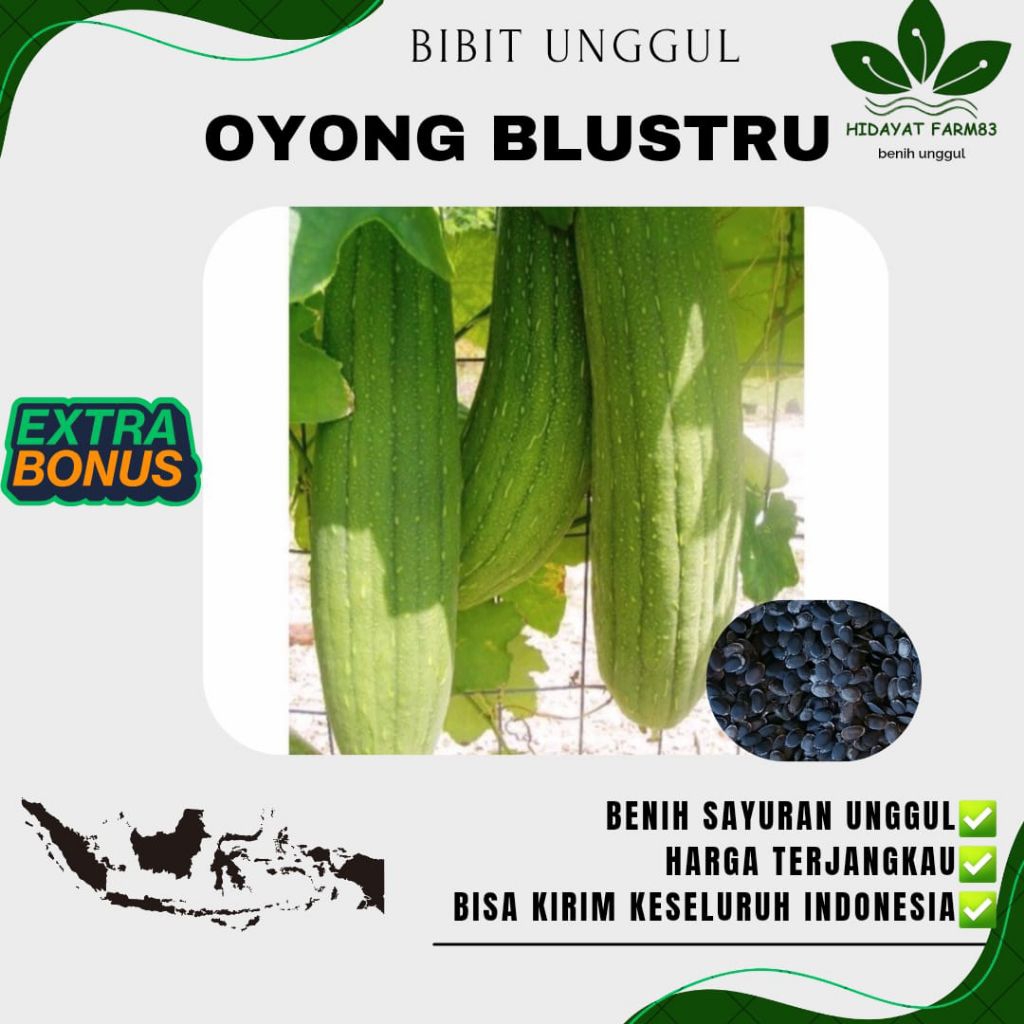 ( 10 biji ) Benih biji oyong Blustru oyong Taiwan unggul berkualitas