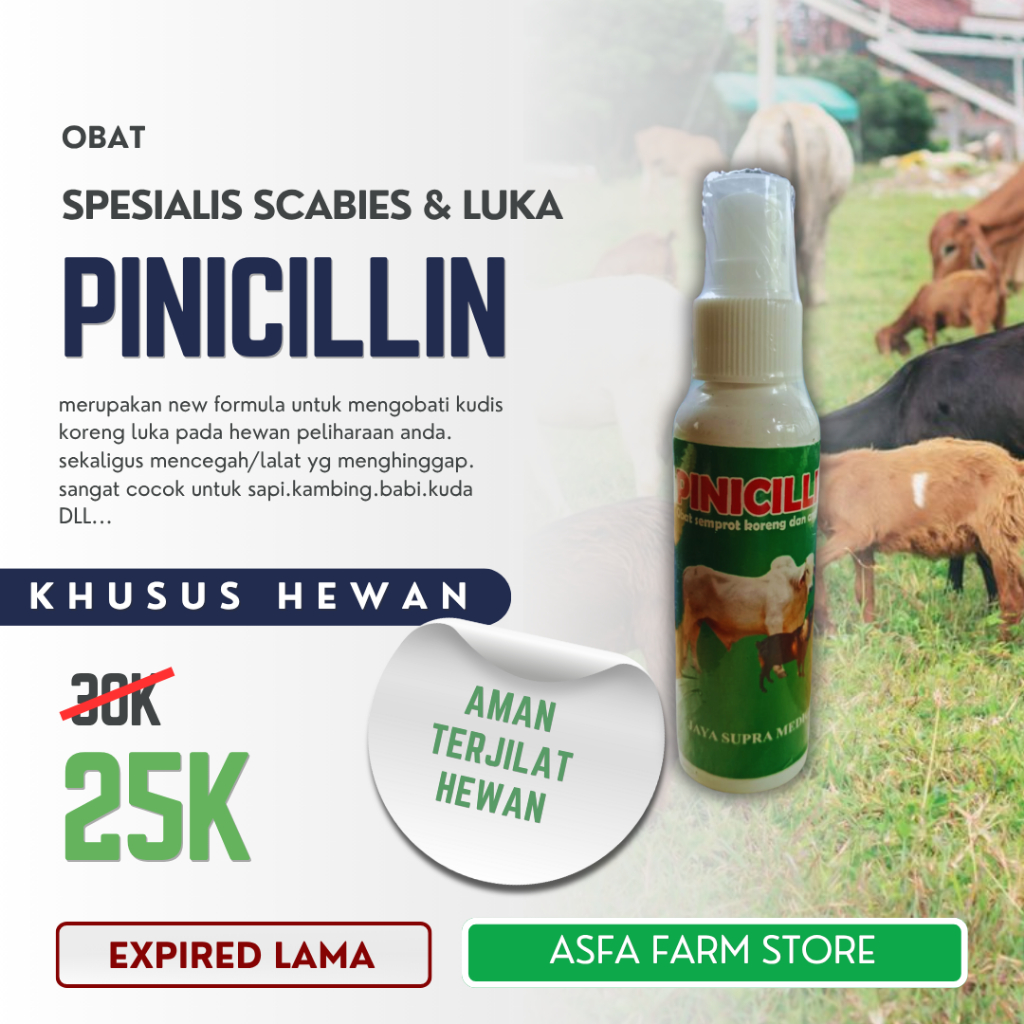 PINISILIN SPRAY OBAT LUKA HEWAN TERNAK SAPI KERBAU KAMBING DOMBA