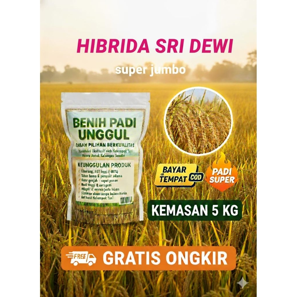 BENIH BIBIT PADI UNGGUL 5KG HIBRIDA SRI DEWI SUPER